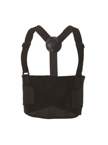 BACK SUPPORT BELT